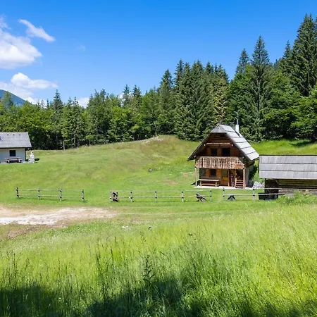 Апартаменты In Goldilocks *