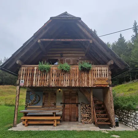 Apartment In Goldilocks Zgornje Gorje