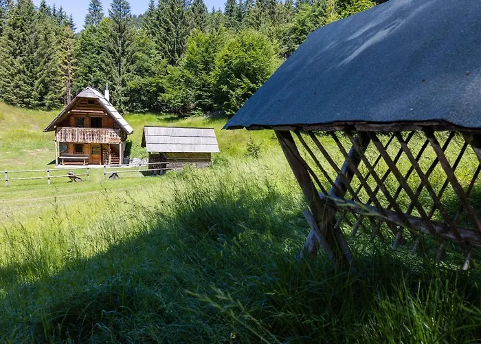 Apartment In Goldilocks Zgornje Gorje